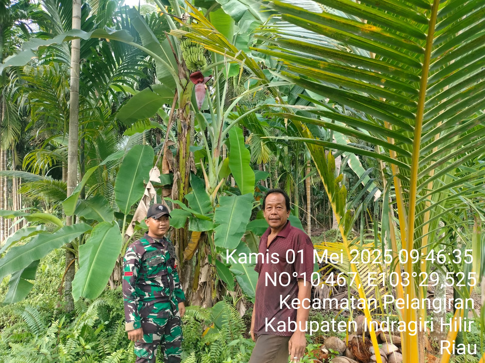 Babinsa Koramil 10/Plg Pratu Jeremia Ginting Laksanakan Sosialisasi dan Patroli Karhutla 