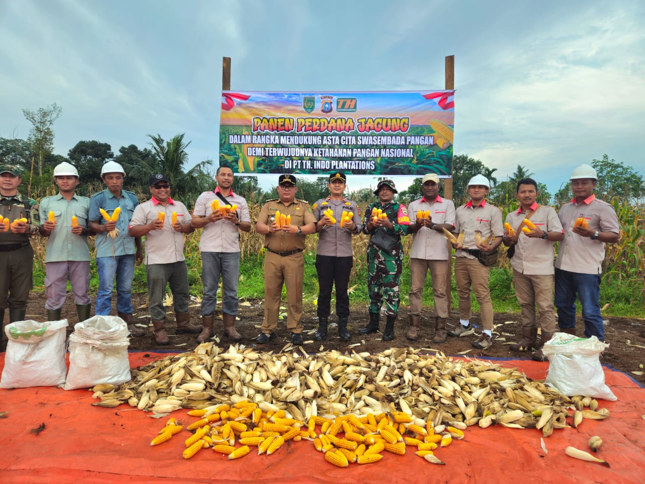 Sinergi TNI, Pemerintah dan Perusahaan: Serda Candra Bastian Hadiri Panen Serentak Jagung di PT THIP Tanjung Simpang